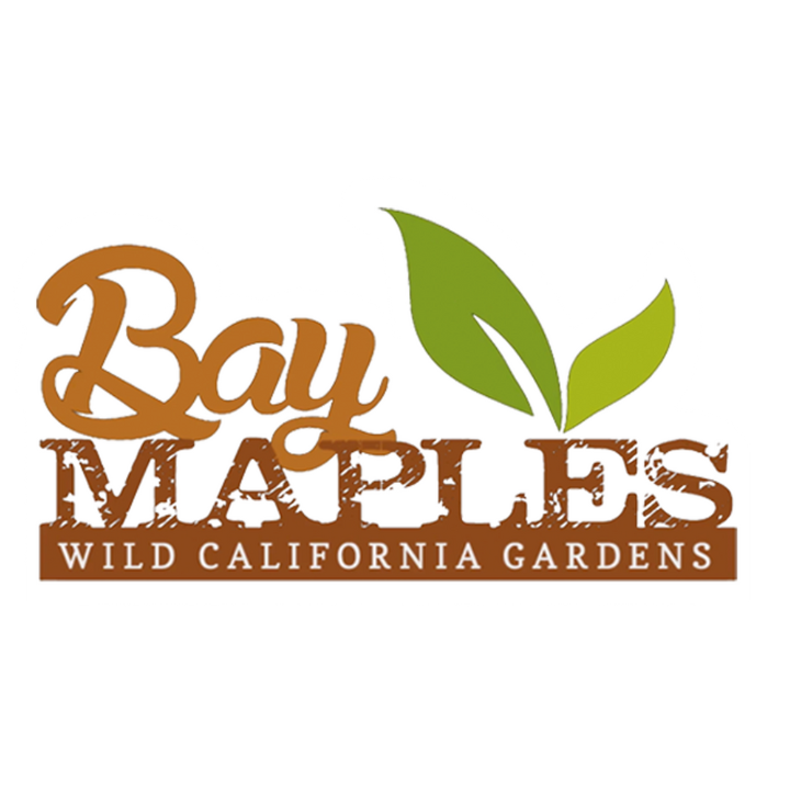 Gallery image - work by Bay Maples in San Jose, CA