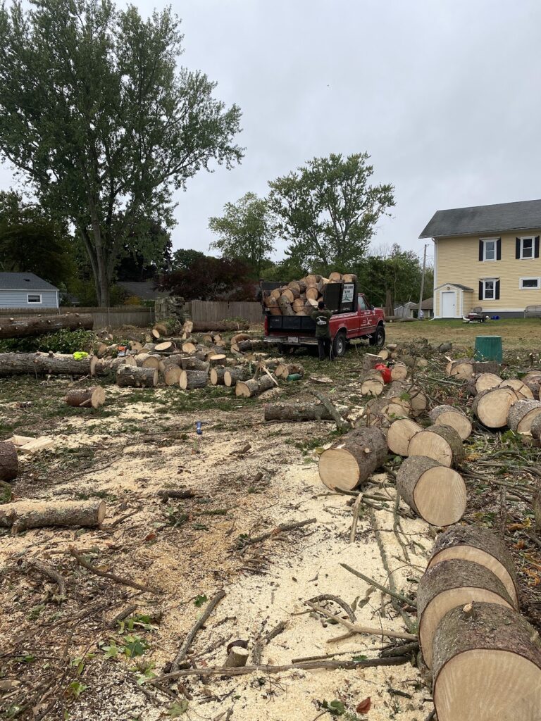 Gallery image - work by Hernandez & Sons Landscaping LLC in Providence, RI