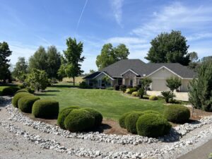 Work by Bettercuts Landscaping