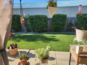 Work by Bettercuts Landscaping