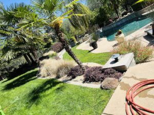 Work by Bettercuts Landscaping