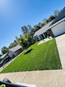 Work by Bettercuts Landscaping