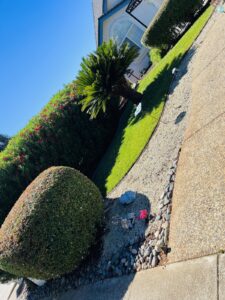 Work by Bettercuts Landscaping