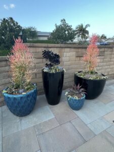 Work by Valley Pacific Landscape, Inc