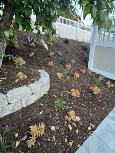 Work by Valley Pacific Landscape, Inc