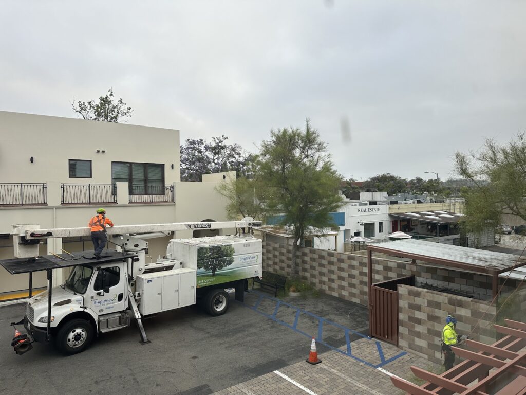 Gallery image - work by BrightView Landscapes in Anaheim, CA