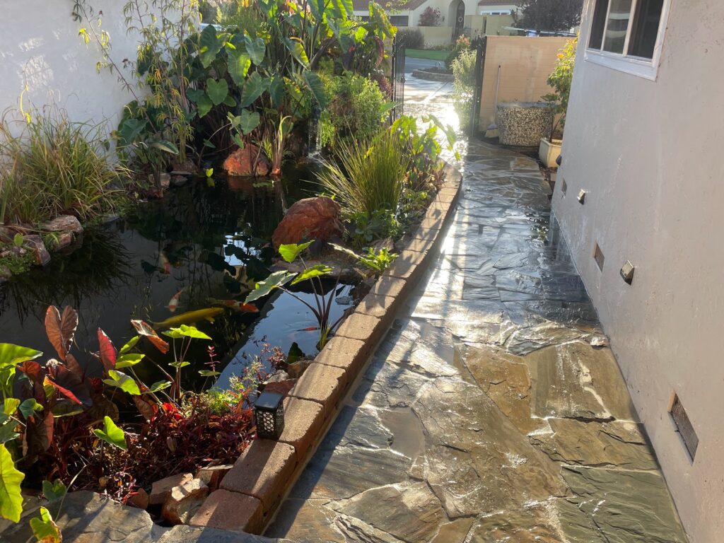 Gallery image - work by Get Pro Landscaping & Management Inc. in San Jose, CA