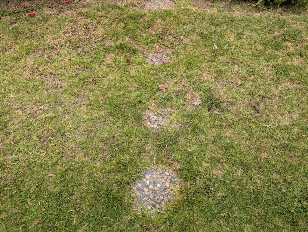 Gallery image - work by CG Landscape in Anaheim, CA