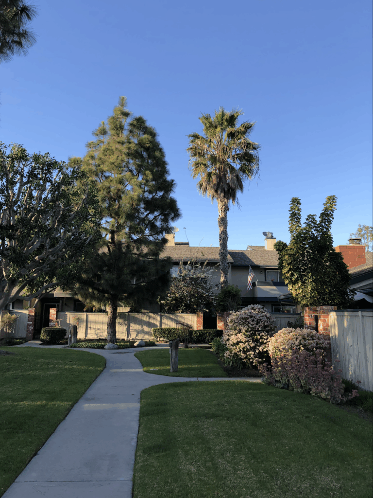 Gallery image - work by Vargas Tree Services Inc in Anaheim, CA