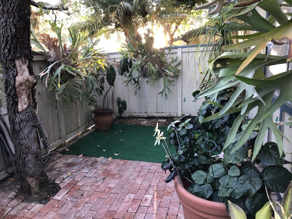 Gallery image - work by Vargas Tree Services Inc in Anaheim, CA