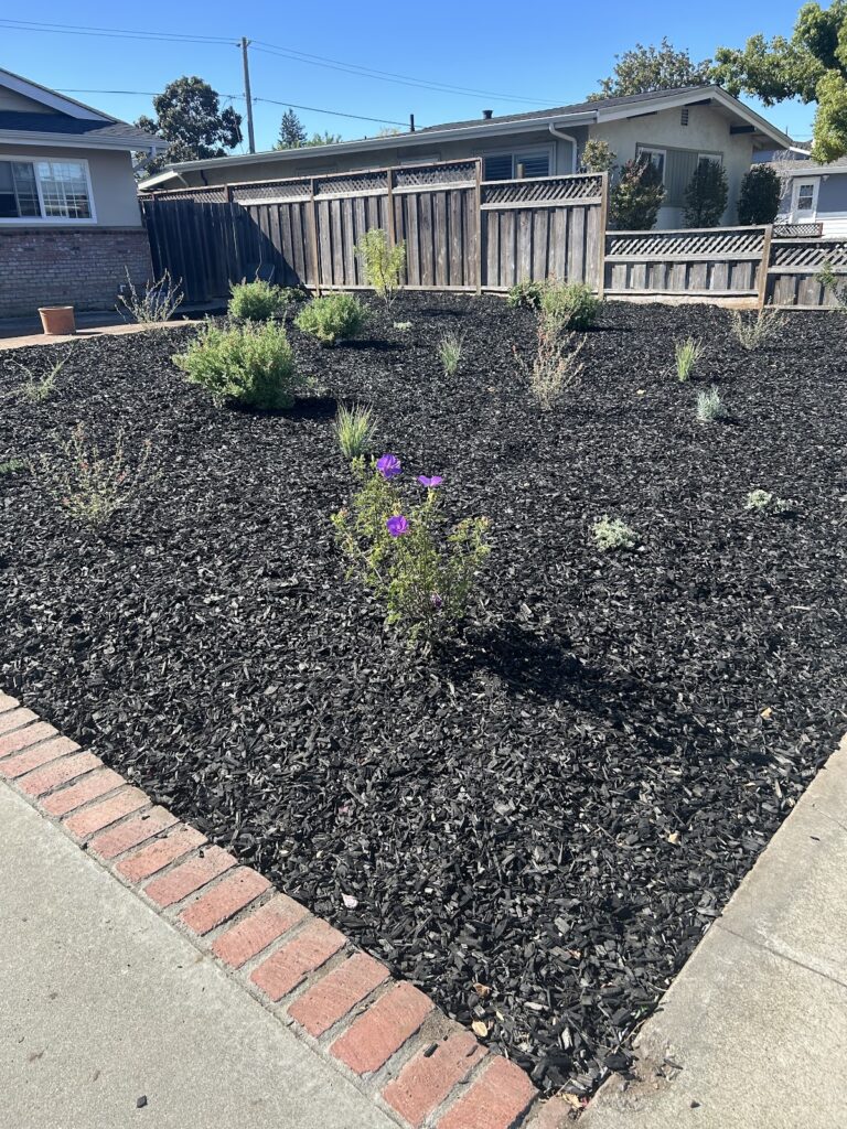Gallery image - work by Bayside Landscape in San Jose, CA