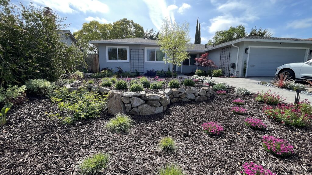 Gallery image - work by Bayside Landscape in San Jose, CA