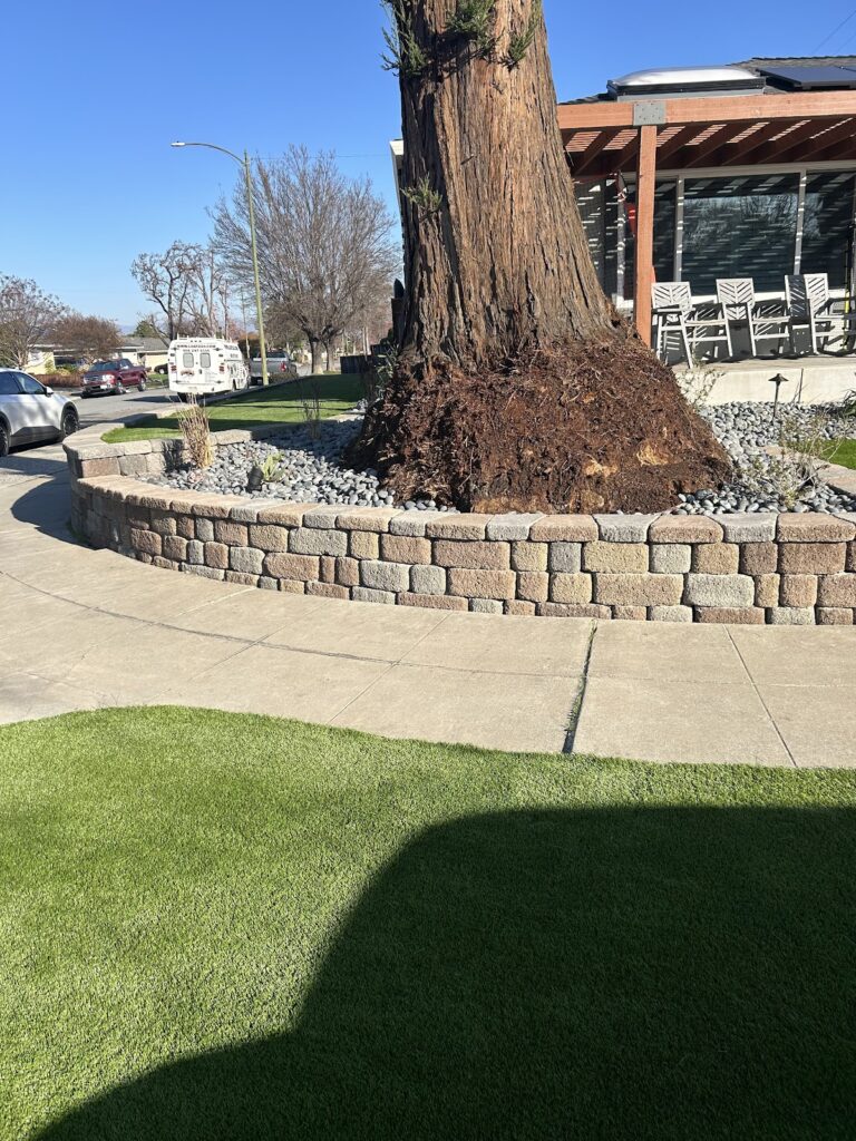 Gallery image - work by Bayside Landscape in San Jose, CA