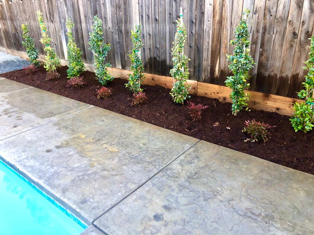 Gallery image - work by Design A Dream Landscaping in Fresno, CA