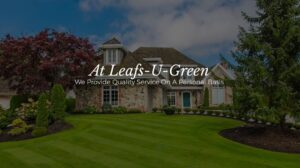 Work by Leafs-U-Green Landscape Services