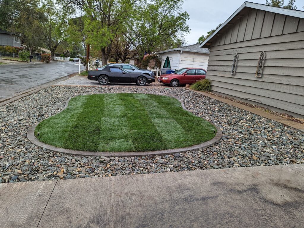 Gallery image - work by Blue Sky Landscaping in Redding, CA