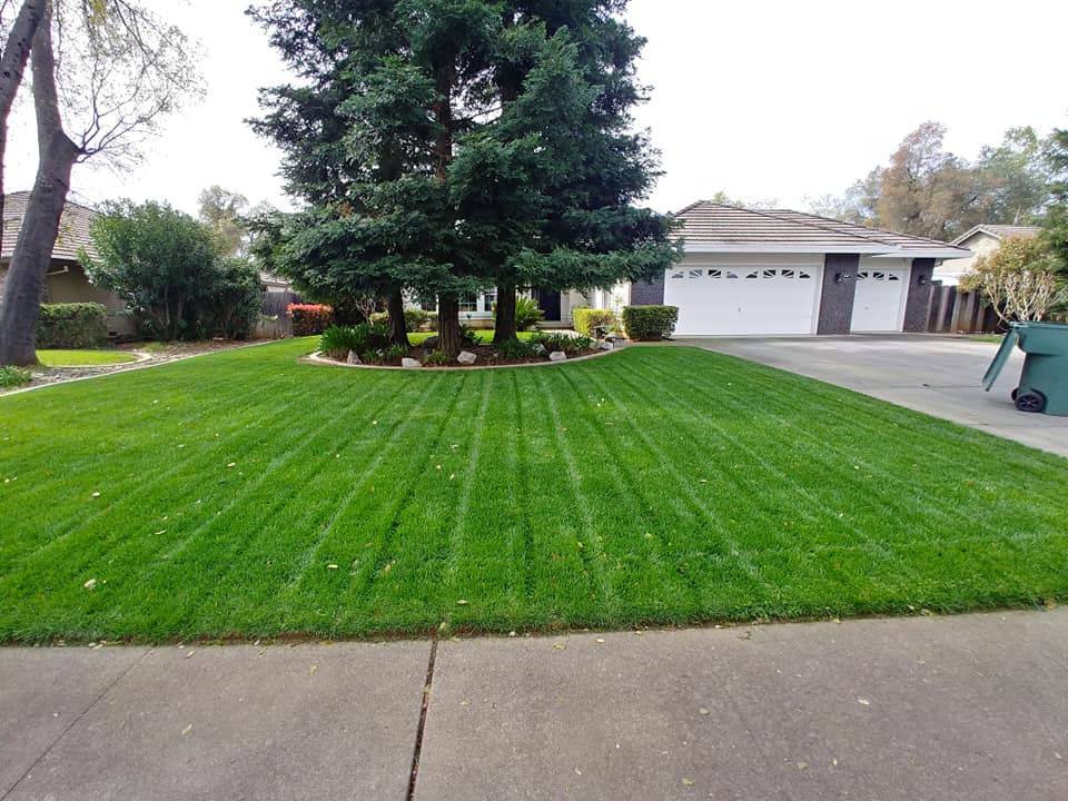 Gallery image - work by Blue Sky Landscaping in Redding, CA