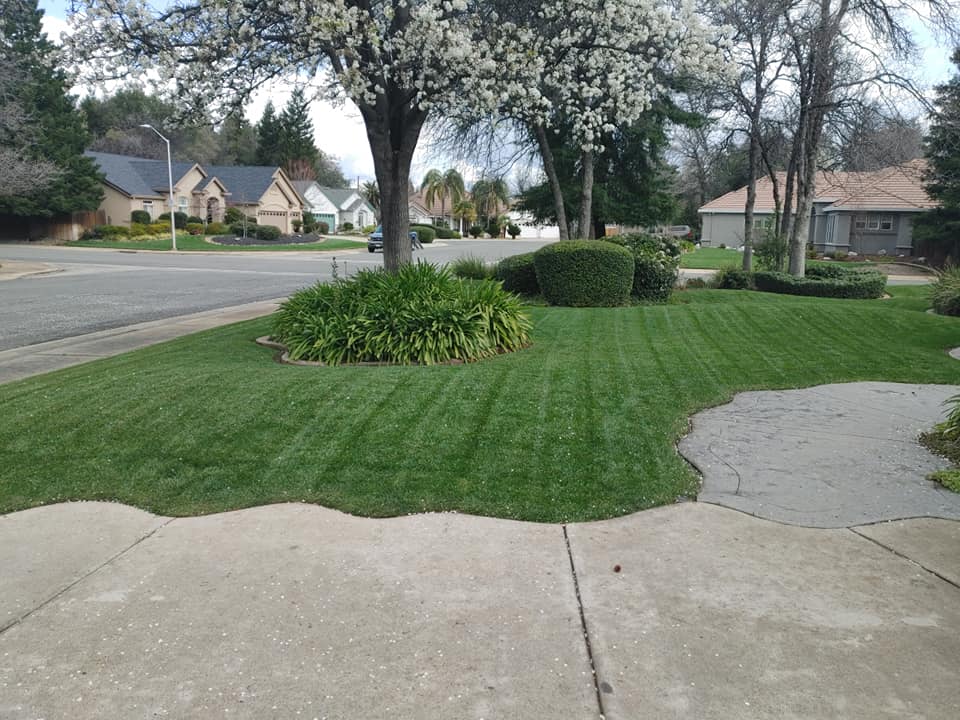 Gallery image - work by Blue Sky Landscaping in Redding, CA