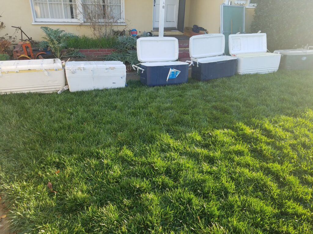 Gallery image - work by RotoTillerGuy : Landscape Contractor | Sod | Sprinkler Installation & Repair in Los Angeles, CA