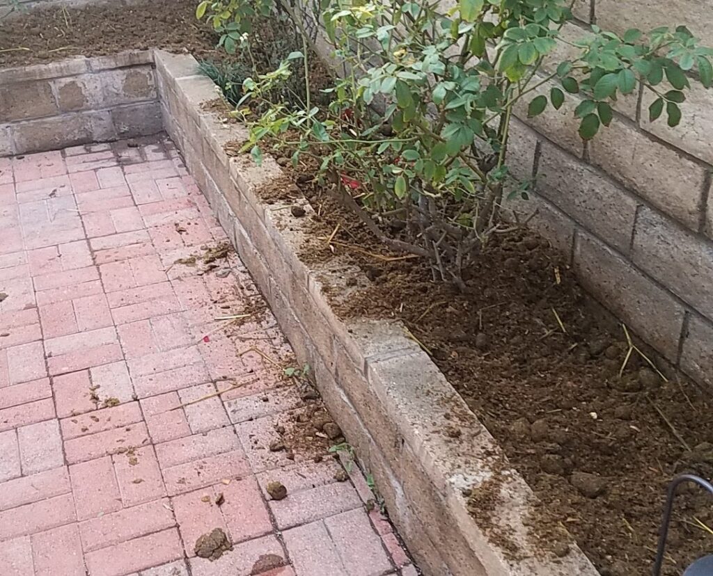 Gallery image - work by RotoTillerGuy : Landscape Contractor | Sod | Sprinkler Installation & Repair in Los Angeles, CA