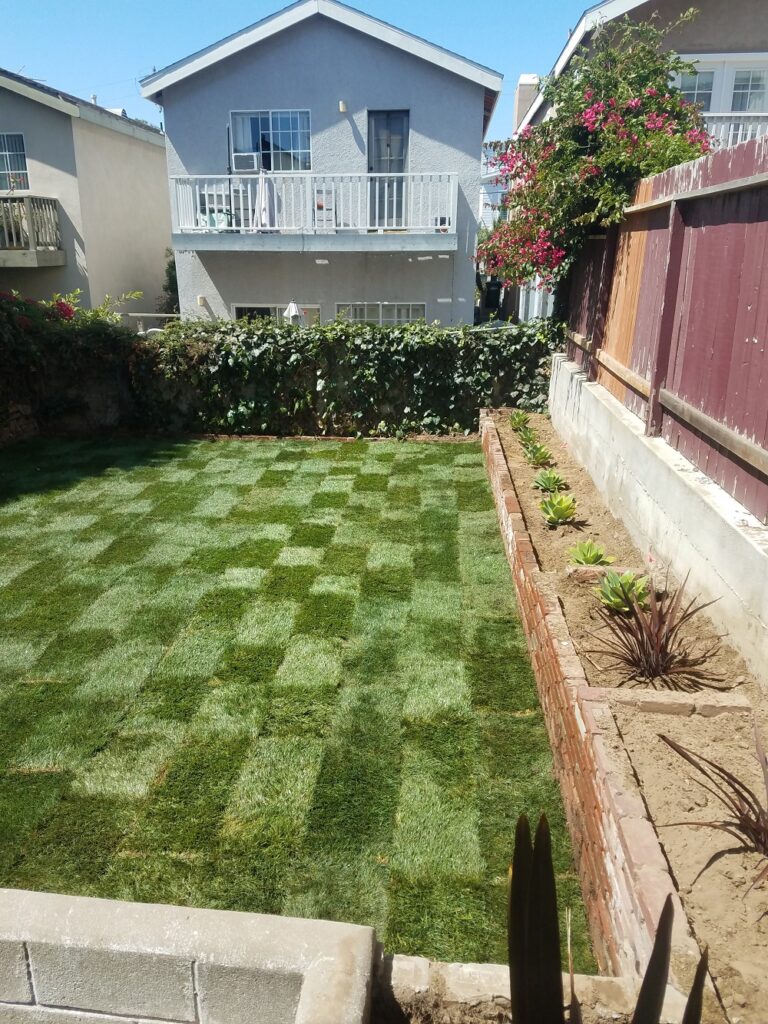 Gallery image - work by RotoTillerGuy : Landscape Contractor | Sod | Sprinkler Installation & Repair in Los Angeles, CA