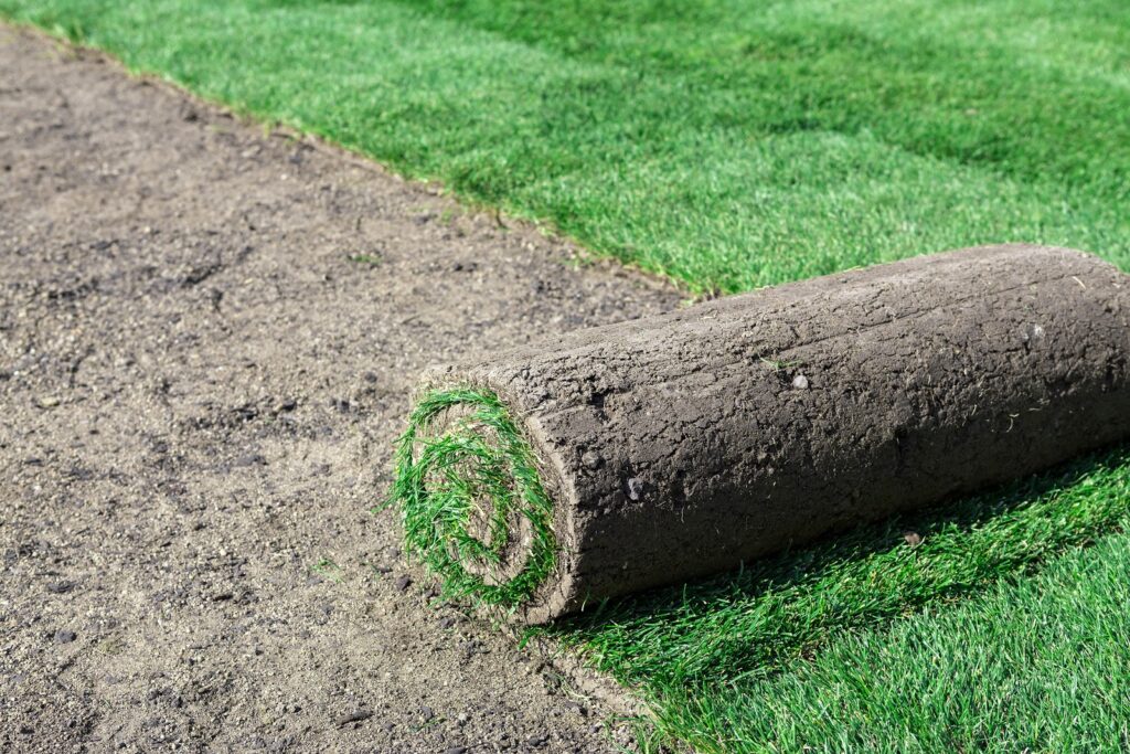 Gallery image - work by RotoTillerGuy : Landscape Contractor | Sod | Sprinkler Installation & Repair in Los Angeles, CA