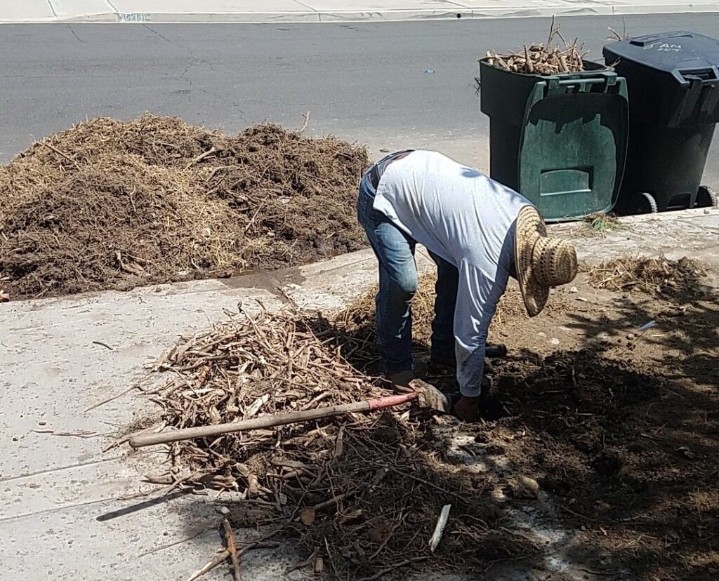 Gallery image - work by RotoTillerGuy : Landscape Contractor | Sod | Sprinkler Installation & Repair in Los Angeles, CA