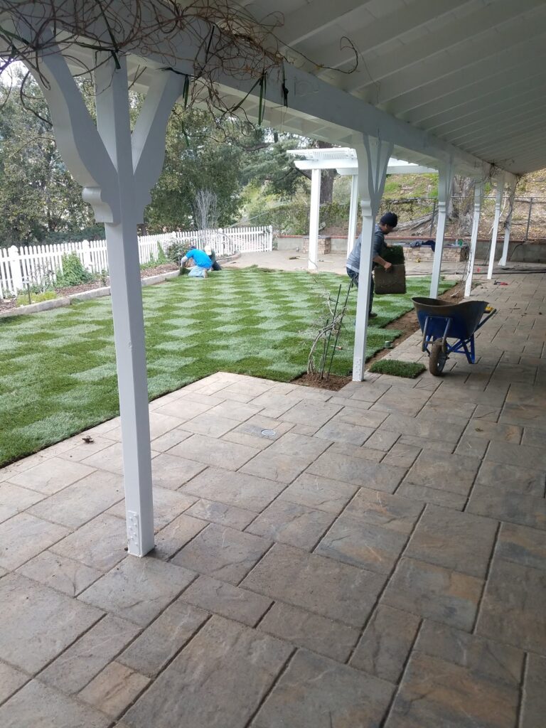 Gallery image - work by RotoTillerGuy : Landscape Contractor | Sod | Sprinkler Installation & Repair in Los Angeles, CA