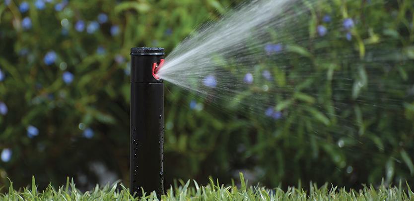 Gallery image - work by RotoTillerGuy : Landscape Contractor | Sod | Sprinkler Installation & Repair in Los Angeles, CA