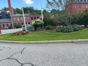 Work by Pristine Lawn Care and Landscaping