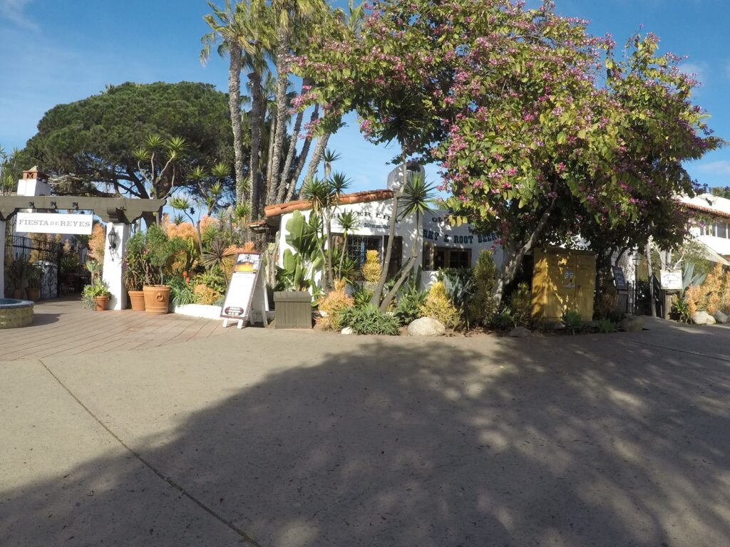 Gallery image - work by Dave Suda Landscape in San Diego, CA