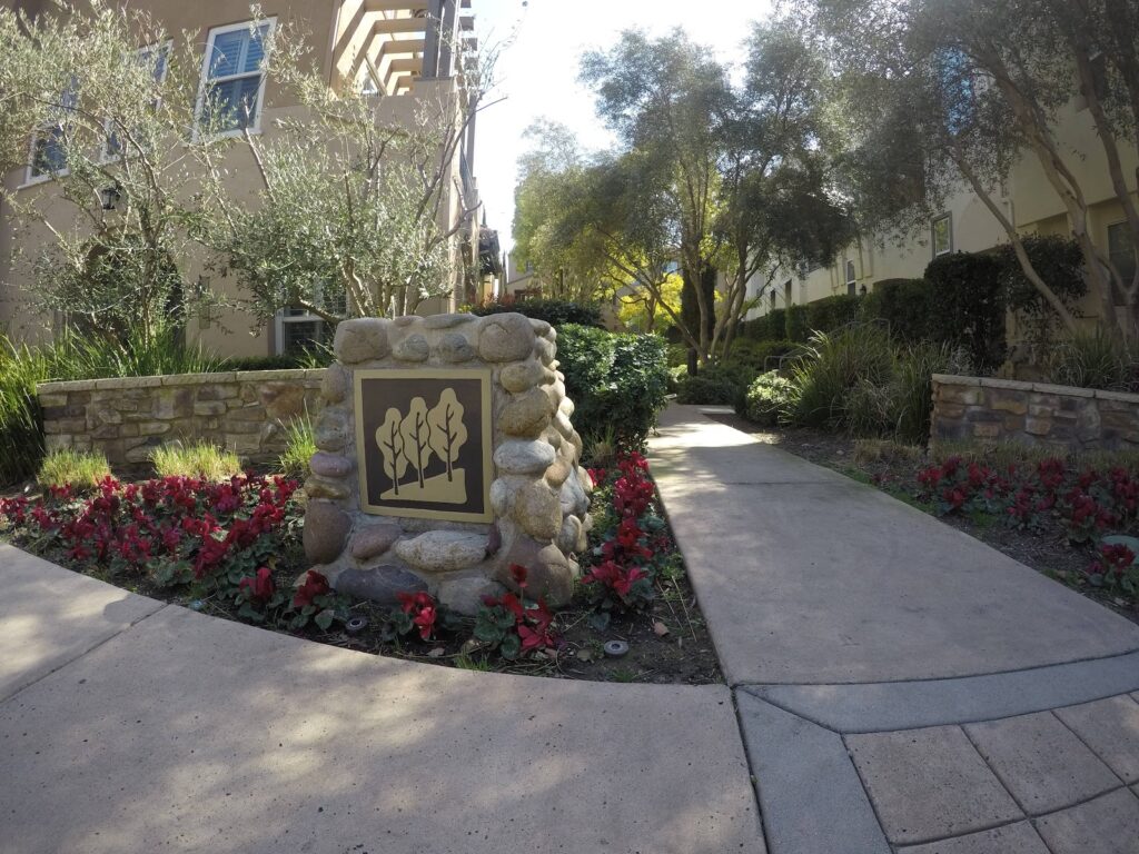 Gallery image - work by Dave Suda Landscape in San Diego, CA