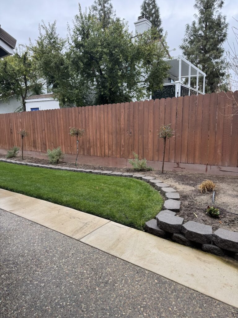 Gallery image - work by New vision landscape company in Fresno, CA