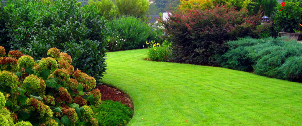 Gallery image - work by Chop Chop Landscaping in Redding, CA