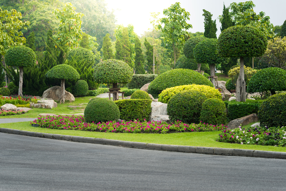 Gallery image - work by The Landscape Expert in Anaheim, CA