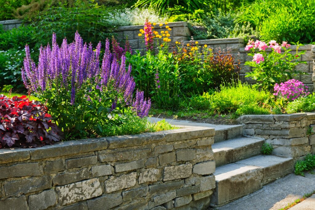 Gallery image - work by The Landscape Expert in Anaheim, CA