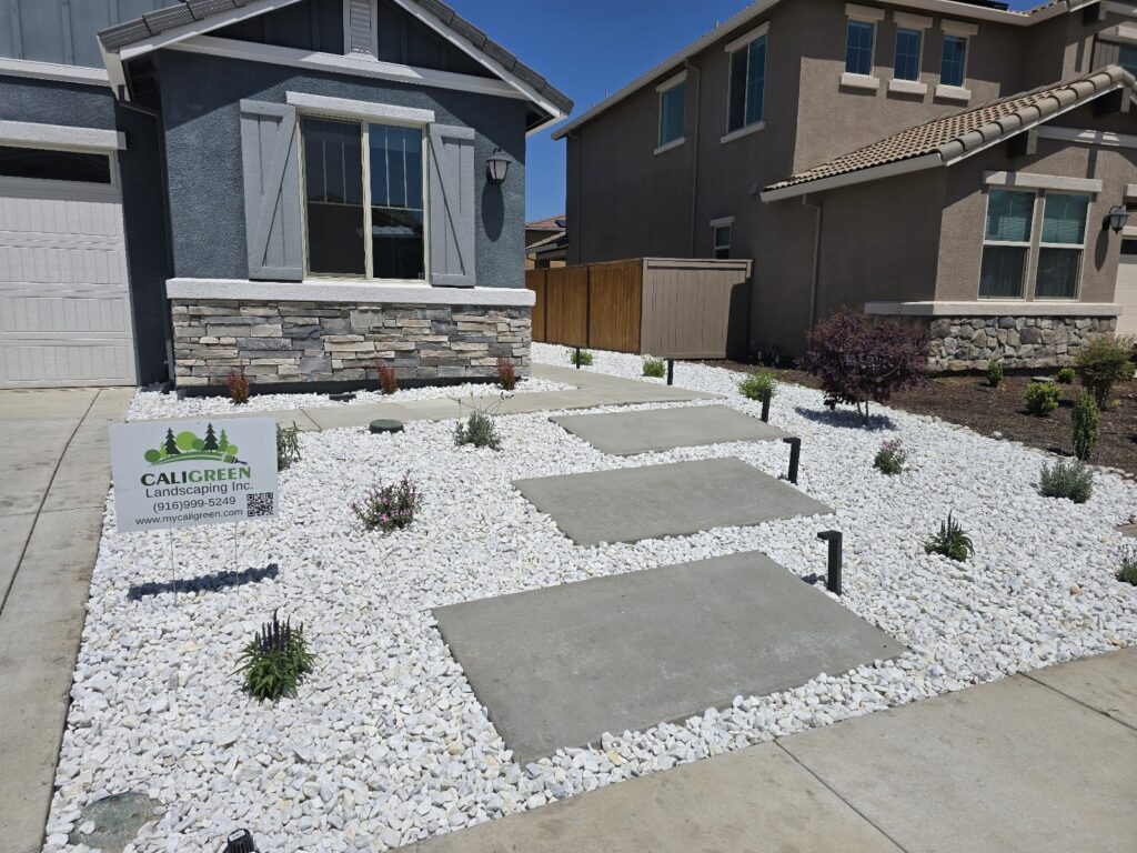 Gallery image - work by Caligreen Landscaping Inc. in North Highlands, CA