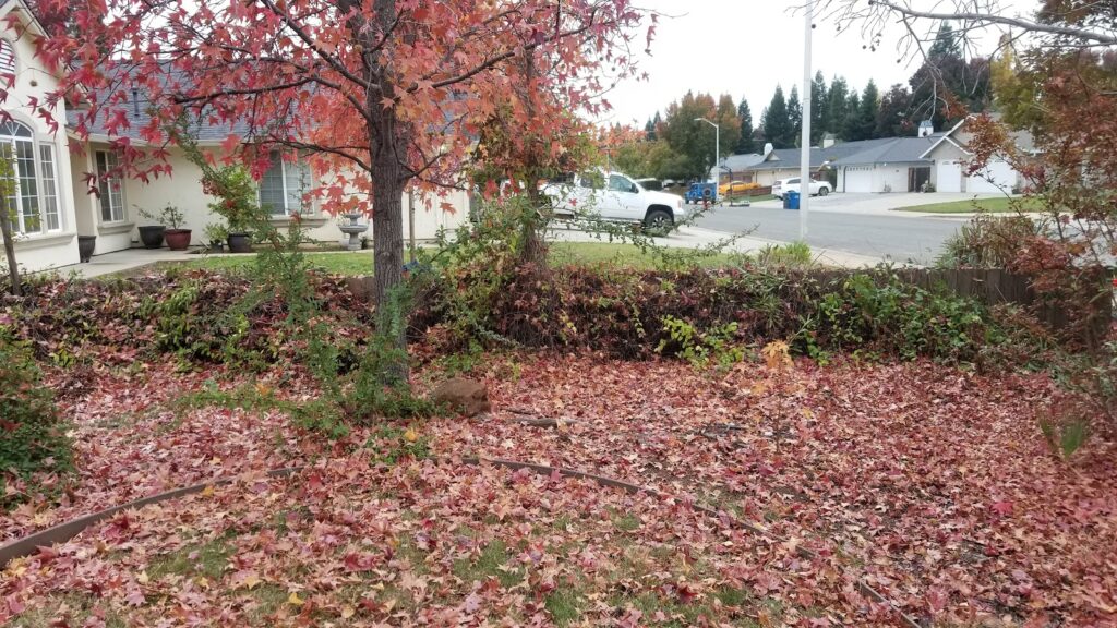 Gallery image - work by JP Lawn Care Maintenance Services in Redding, CA