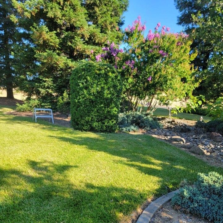Gallery image - work by JP Lawn Care Maintenance Services in Redding, CA