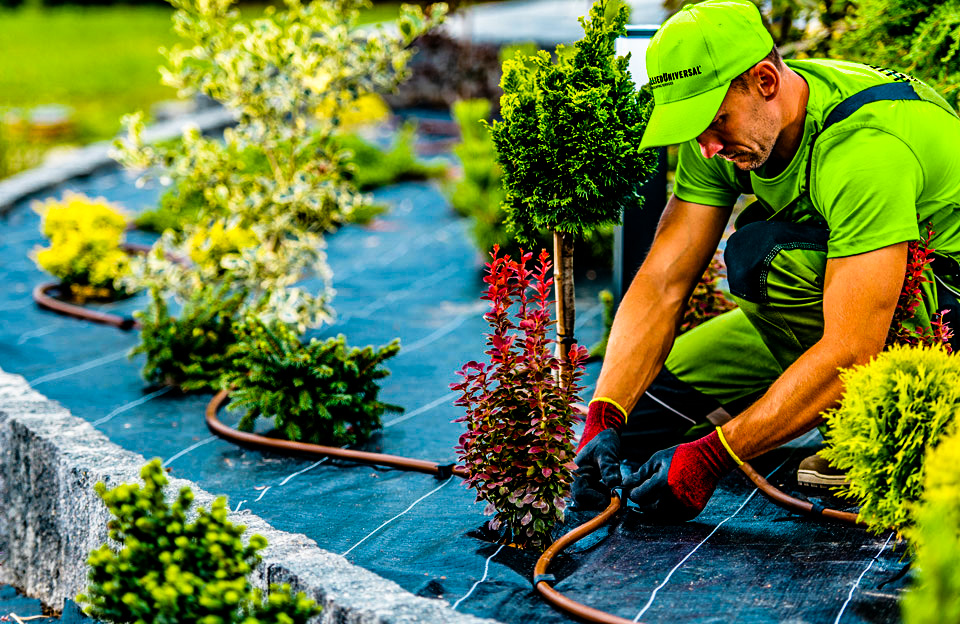 Gallery image - work by Hollywood Landscaping in Los Angeles, CA