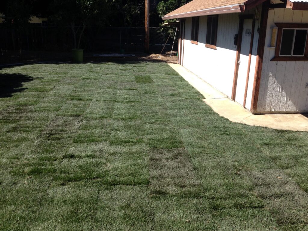 Gallery image - work by California Landscaping & Design Inc. in Elk Grove, CA