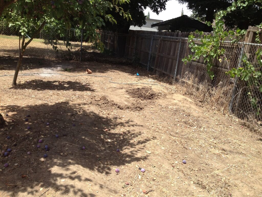 Gallery image - work by California Landscaping & Design Inc. in Elk Grove, CA