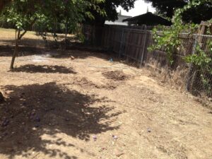 Work by California Landscaping & Design Inc.