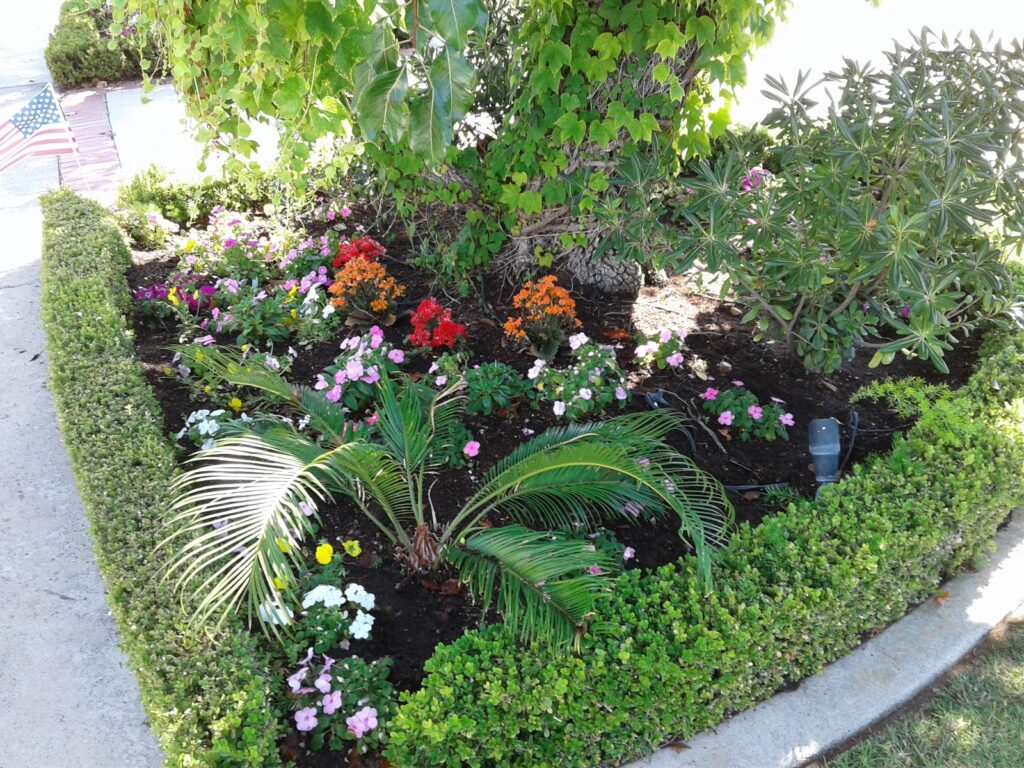 Gallery image - work by Brothers Landscape Services in Anaheim, CA
