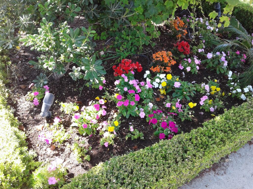 Gallery image - work by Brothers Landscape Services in Anaheim, CA
