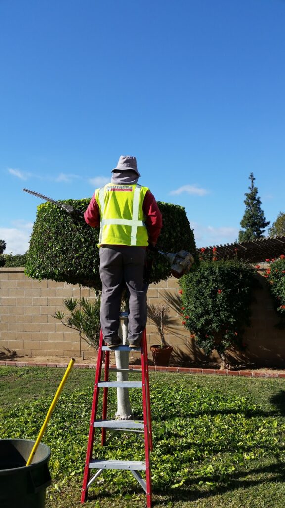 Gallery image - work by Brothers Landscape Services in Anaheim, CA