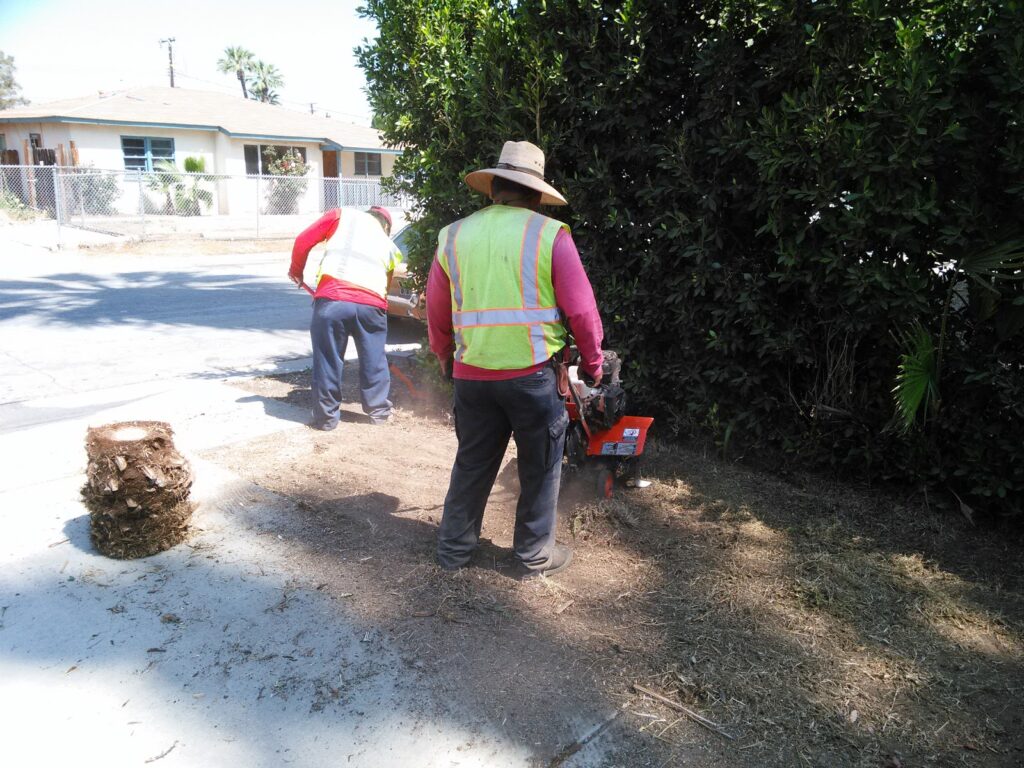Gallery image - work by Brothers Landscape Services in Anaheim, CA