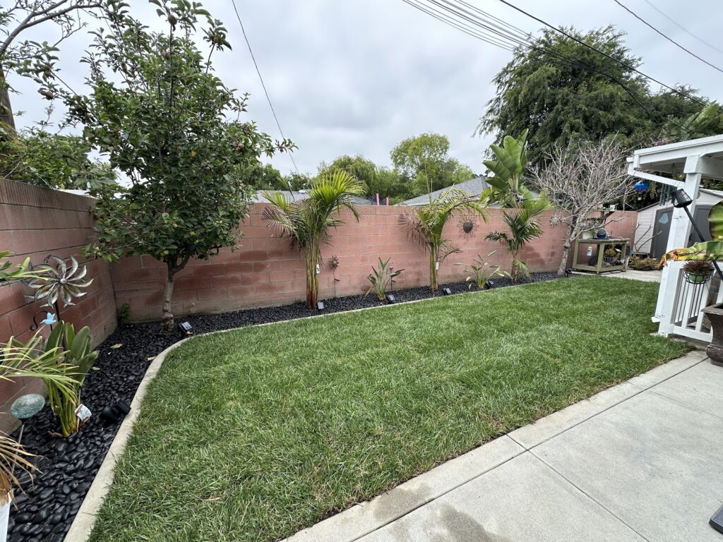 Gallery image - work by Four Seasons Landscaping in Huntington Park, CA