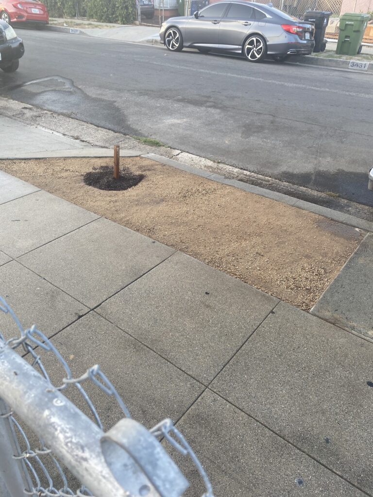 Gallery image - work by Four Seasons Landscaping in Huntington Park, CA