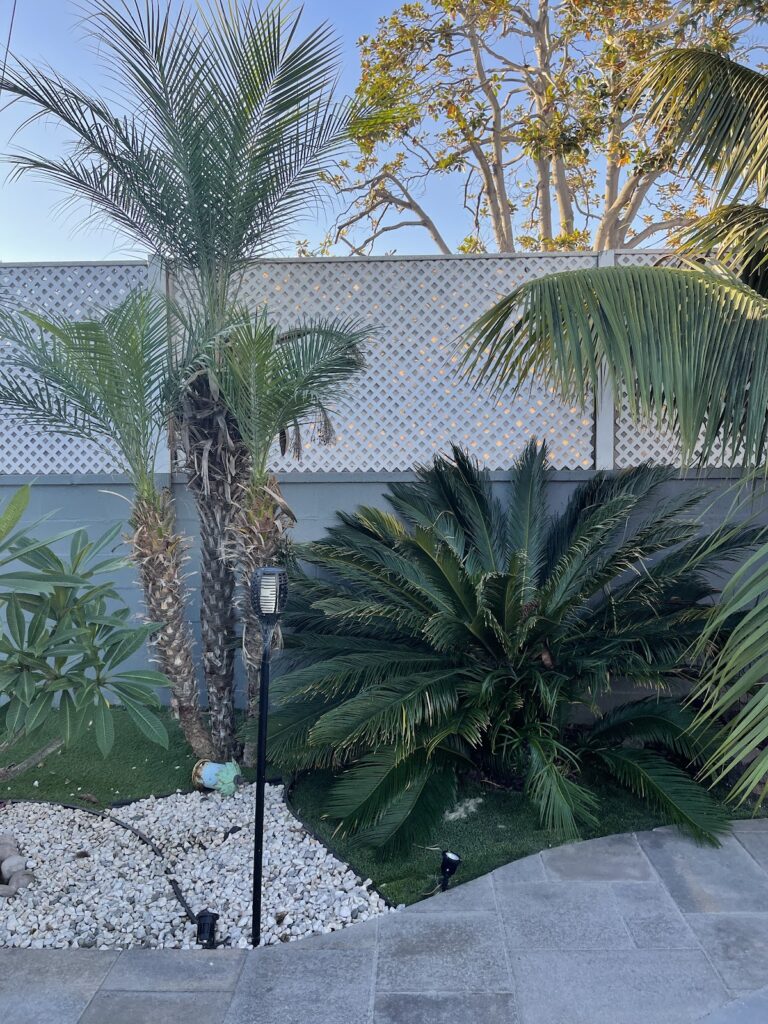 Gallery image - work by Four Seasons Landscaping in Huntington Park, CA